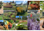 create a holistic landscape design for your site